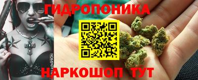 тгк Берёзовский