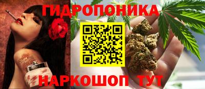 ГАЛЛЮЦИНОГЕННЫЕ ГРИБЫ Беслан