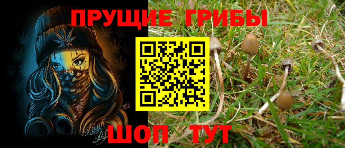 Галлюциногенные грибы GOLDEN TEACHER  Галлюциногенные грибы Psilocybe  Вход с VPN  Кимовск 